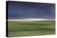 Moved Landscape 6042-Rica Belna-Premier Image Canvas