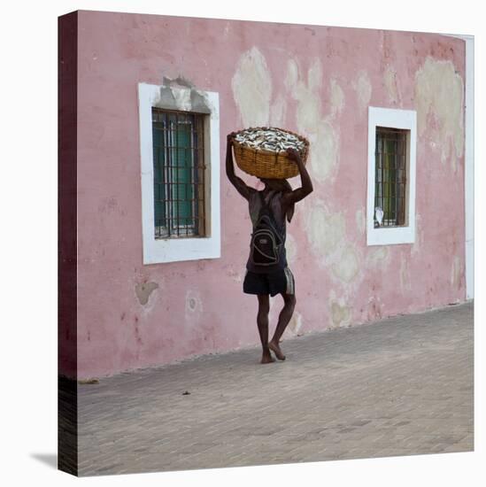 Mozambique, Ihla De Moçambique, Stone Town-Niels Van Gijn-Premier Image Canvas