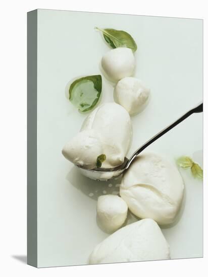 Mozzarella and Fresh Basil-Luzia Ellert-Premier Image Canvas