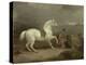 Mr. Johnstone King's Grey Shooting Pony Waiting with a Groom on a Scottish Moor, 1835-Thomas Woodward-Premier Image Canvas