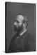 'Mr. Michael Davitt', c1891-W&D Downey-Stretched Canvas