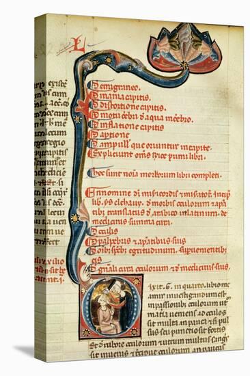 Ms.Lat.6912 Illuminations from Volume 2 of the 'Continens' of Rhazes Concerning Opthalmology and…-Giovanni da Monte Cassino-Premier Image Canvas