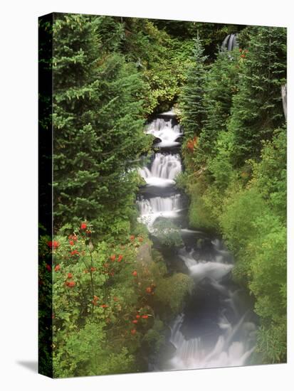 Mt. Adams and Twin Falls, Gifort Pinchot National Forest, Washington State, USA-Stuart Westmorland-Premier Image Canvas