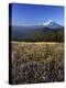 Mt. Adams in distance, Meadow, Goat Rocks Wilderness, Washington, USA-Charles Gurche-Premier Image Canvas