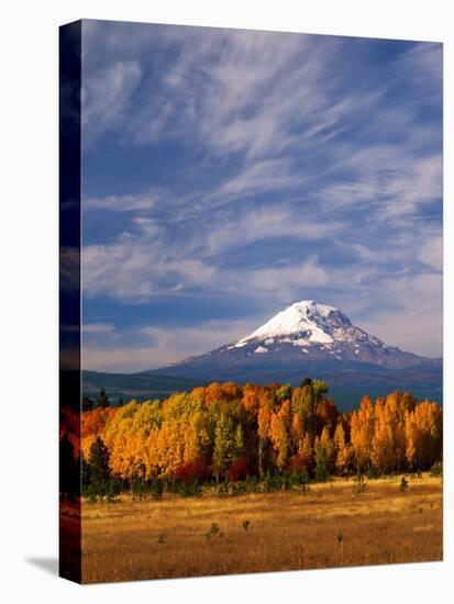 Mt. Adams IV-Ike Leahy-Premier Image Canvas