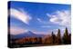 Mt. Adams V-Ike Leahy-Premier Image Canvas