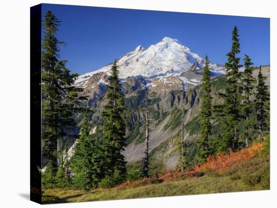 Mt. Baker from Kulshan Ridge at Artist's Point, Heather Meadows Recreation Area, Washington, Usa-Jamie & Judy Wild-Premier Image Canvas