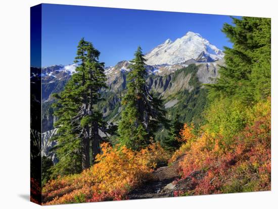 Mt. Baker from Kulshan Ridge at Artist's Point, Heather Meadows Recreation Area, Washington, Usa-Jamie & Judy Wild-Premier Image Canvas