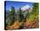 Mt. Baker from Kulshan Ridge at Artist's Point, Heather Meadows Recreation Area, Washington, Usa-Jamie & Judy Wild-Premier Image Canvas