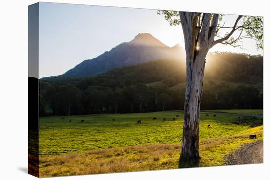 Mt Barney, Mt Barney National Park, Queensland, Australia-Mark A Johnson-Premier Image Canvas