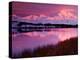 Mt. Denali at Sunset from Reflection Pond, Alaska, USA-Charles Sleicher-Premier Image Canvas