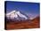 Mt. Denali from Stony Hill in Fall, Mt. McKinley, Alaska, USA-Charles Sleicher-Premier Image Canvas