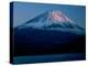 Mt. Fuji and Lake Motosu-null-Premier Image Canvas