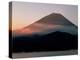 Mt. Fuji and Lake Shoji-null-Premier Image Canvas