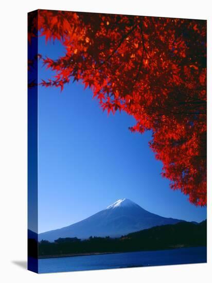 Mt. Fuji and Maple Leaves, Lake Kawaguchi, Yamanashi, Japan-null-Premier Image Canvas
