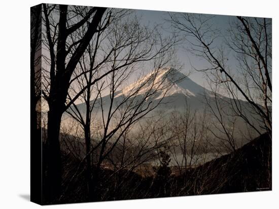 Mt. Fuji Beyond Trees-null-Premier Image Canvas