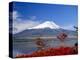 Mt.Fuji, Japan-Adina Tovy-Premier Image Canvas