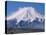 Mt. Fuji-null-Premier Image Canvas
