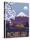 Mt Fuji-Steve Thomas-Premier Image Canvas