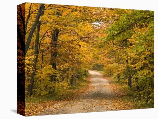 Mt. Greylock Reservation, Massachusetts, USA-Demetrio Carrasco-Premier Image Canvas