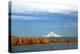 Mt. Hood and Columbia River-Steve Terrill-Premier Image Canvas