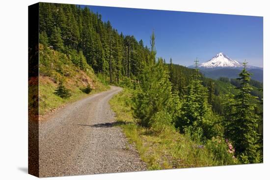 Mt. Hood from Mt. Hood National Forest. Oregon, USA-Craig Tuttle-Premier Image Canvas