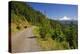 Mt. Hood from Mt. Hood National Forest. Oregon, USA-Craig Tuttle-Premier Image Canvas