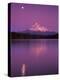 Mt Hood in Moonlight, Lost Lake, Oregon Cascades, USA-Janis Miglavs-Premier Image Canvas