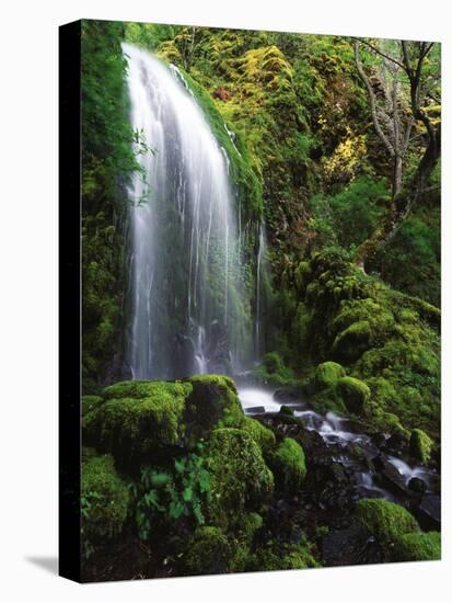 Mt Hood National Forest, Waterfall, Columbia Gorge Scenic Area, Oregon, USA-Stuart Westmorland-Premier Image Canvas