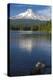 Mt. Hood, Oregon. Reflected and Shining over Trillium Lake-Michael Qualls-Premier Image Canvas