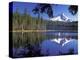 Mt. Hood Reflected in Frog Lake, Oregon, USA-Janis Miglavs-Premier Image Canvas