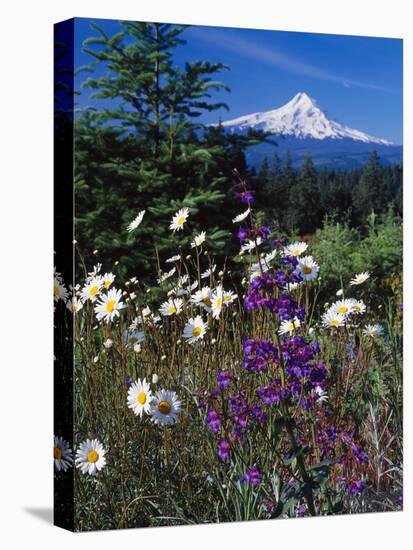 Mt. Hood V-Ike Leahy-Premier Image Canvas