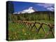 Mt. Hood Viewed from Summit Meadows-Steve Terrill-Premier Image Canvas