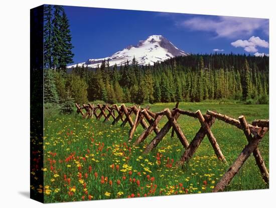 Mt. Hood Viewed from Summit Meadows-Steve Terrill-Premier Image Canvas