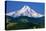 Mt. Hood XI-Ike Leahy-Premier Image Canvas