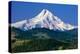 Mt. Hood XI-Ike Leahy-Premier Image Canvas