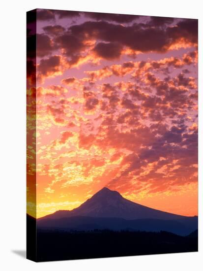 Mt. Hood XXII-Ike Leahy-Premier Image Canvas