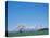 Mt. Iwate and a Cherry Tree-null-Premier Image Canvas