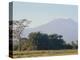 Mt. Kilimanjaro, Amboseli, Kenya, Africa-Robert Harding-Premier Image Canvas