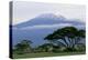 Mt Kilimanjaro in Tanzania-null-Premier Image Canvas