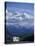 Mt. McKinley and RV, Denali National Park, Alaska, USA-Hugh Rose-Premier Image Canvas