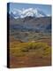 Mt. Mckinley, Denali National Park, Alaska, USA-Hugh Rose-Premier Image Canvas