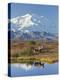 Mt. Mckinley, Denali National Park, Alaska, USA-Hugh Rose-Premier Image Canvas
