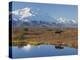 Mt. Mckinley, Denali National Park, Alaska, USA-Hugh Rose-Premier Image Canvas