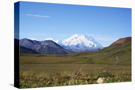 Mt. Mckinley-blackmarigolds-Premier Image Canvas