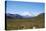 Mt. Mckinley-blackmarigolds-Premier Image Canvas