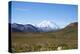 Mt. Mckinley-blackmarigolds-Premier Image Canvas