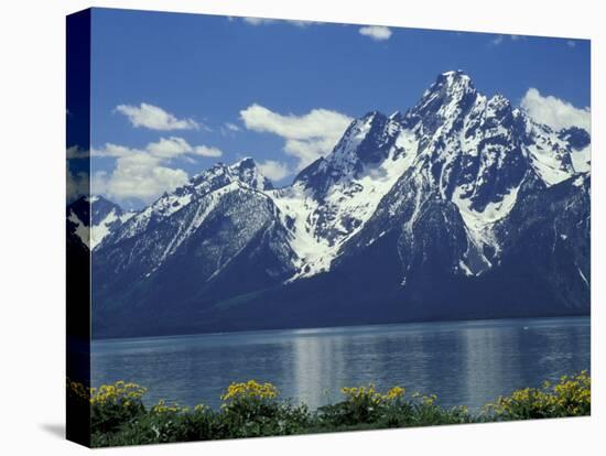 Mt. Moran from Jackson Lake, Grand Teton National Park, Wyoming, USA-Jamie & Judy Wild-Premier Image Canvas