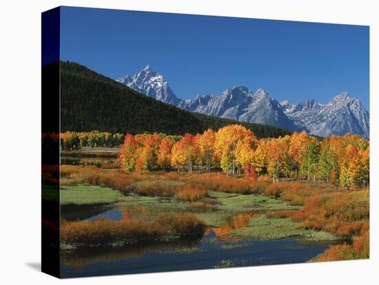 Mt. Moren, Oxbow Bend, Grand Tetons National Park, Wyoming, USA-Dee Ann Pederson-Premier Image Canvas