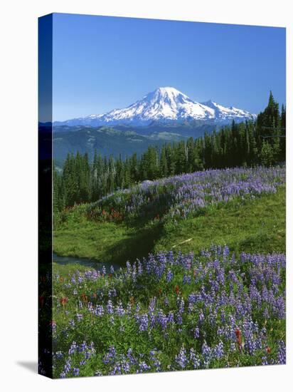 Mt. Rainer in distance, Meadows, Adams Wilderness, Mt, Washington, USA-Charles Gurche-Premier Image Canvas